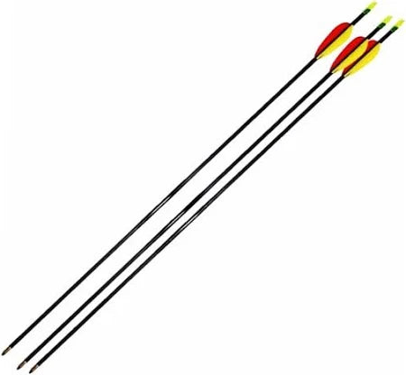 28 Fiberglass Arrows (3 Pack)
