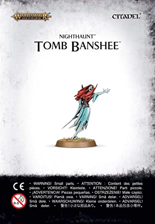 Nightnaunt Tomb Banshee 91-33