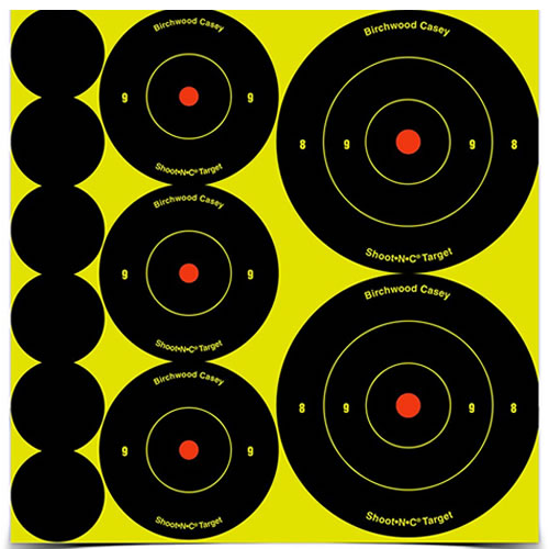 Birchwood Casey Shoot-N-C Targets