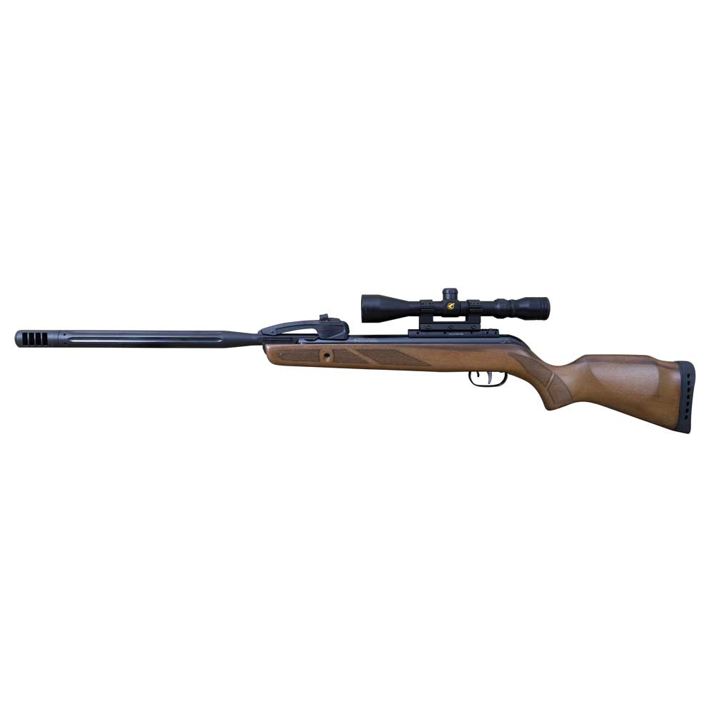 Gamo Varmint Swarm Gen1 .22