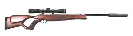Remington Sabre TH Wood