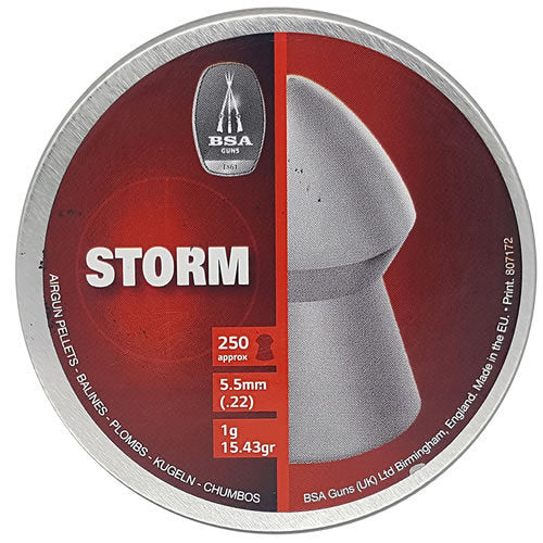 BSA Storm Pointed (250) .22