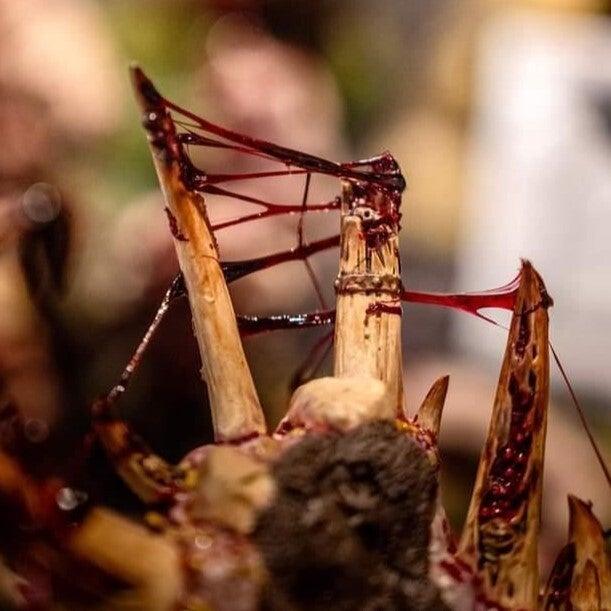 Dirty Down Gore – 15ml