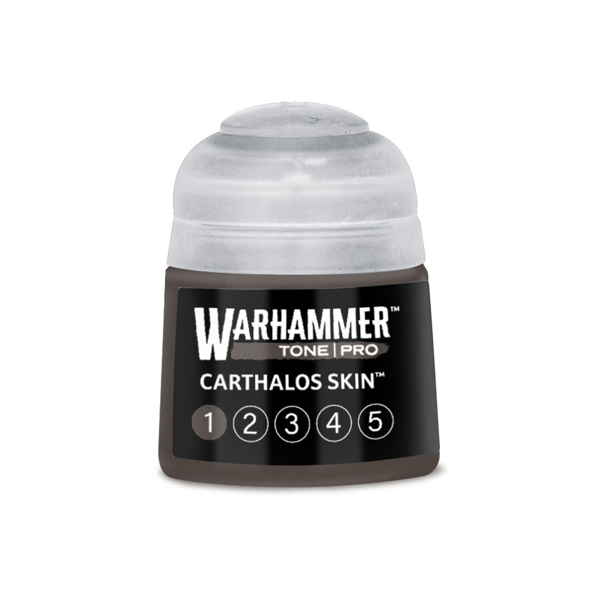TN: Carthalos Skin 1 20-071