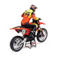 Losi 1/4 Promoto-MX Motorcycle RTR