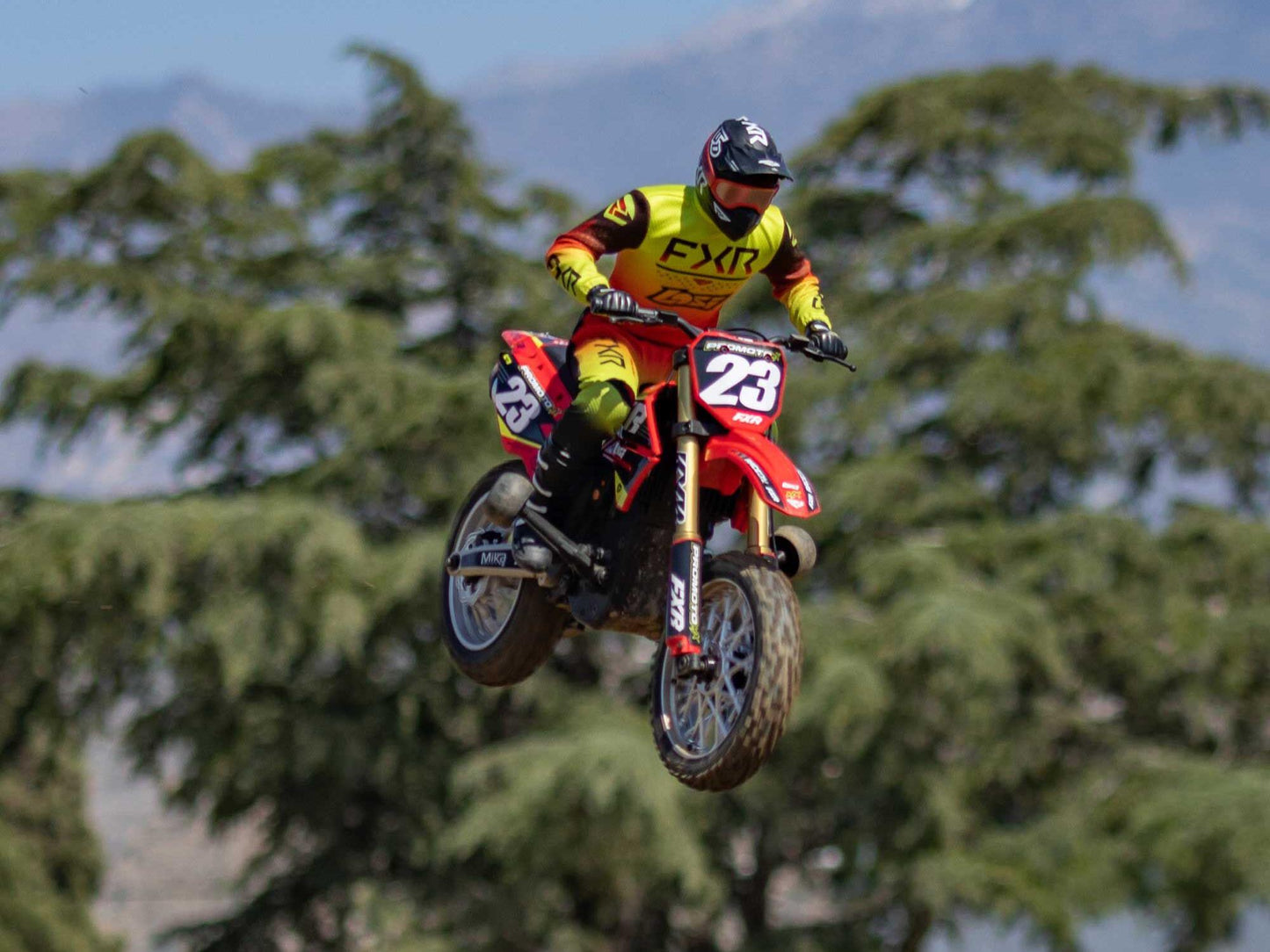 Losi 1/4 Promoto-MX Motorcycle RTR