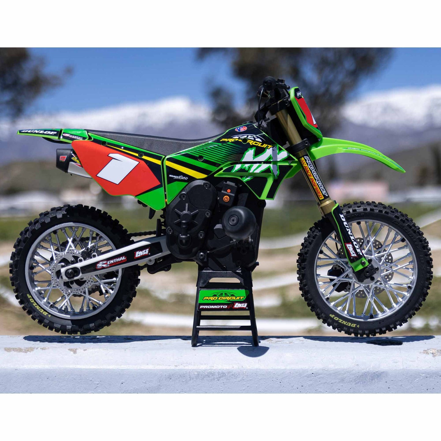 Losi 1/4 Promoto-MX Motorcycle RTR with Battery and Charger, Pro