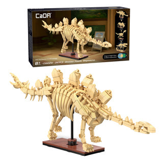 Dinosaur Fossils: Stegosaurus