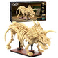 Dinosaur Fossils: Triceratops