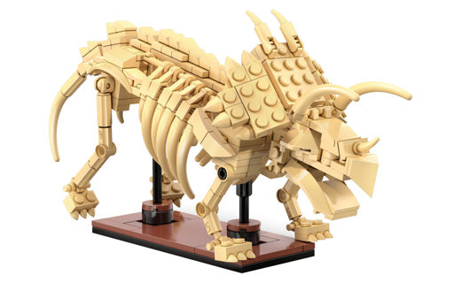 Dinosaur Fossils: Triceratops
