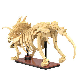 Dinosaur Fossils: Triceratops
