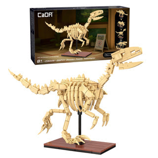 Dinosaur Fossils: Velociraptor