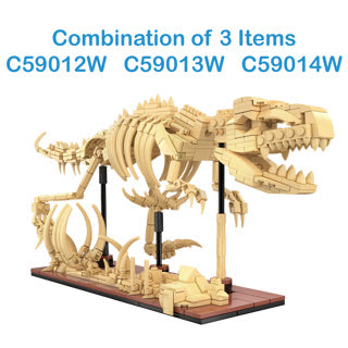 Dinosaur Fossils: Velociraptor