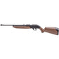 Crosman Pumpmaster 760 4.5mm BB Rifle