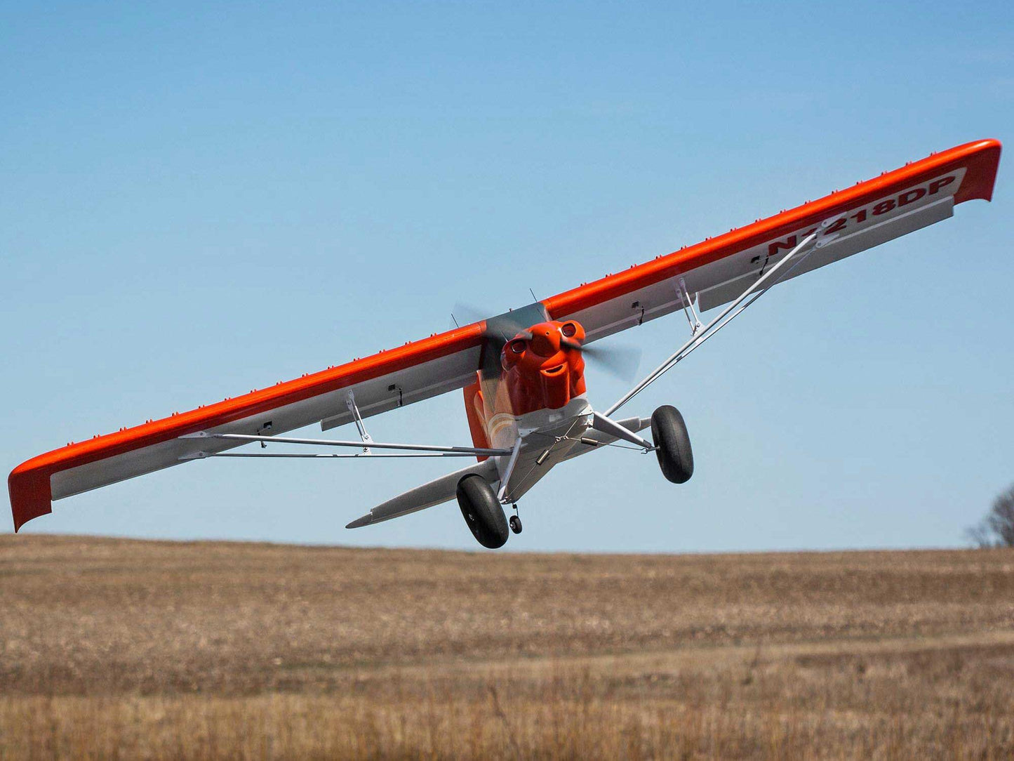 Carbon-Z Cub SS 2.1m BNF Basic with AS3X and SAFE Select