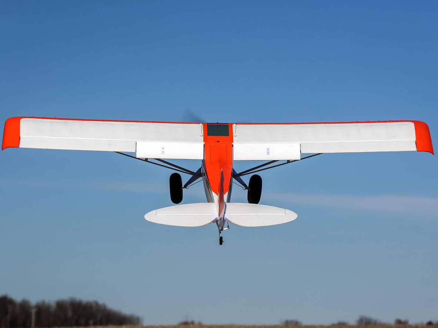 Carbon-Z Cub SS 2.1m BNF Basic with AS3X and SAFE Select