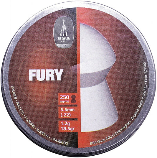BSA Fury Metal .22 (250)