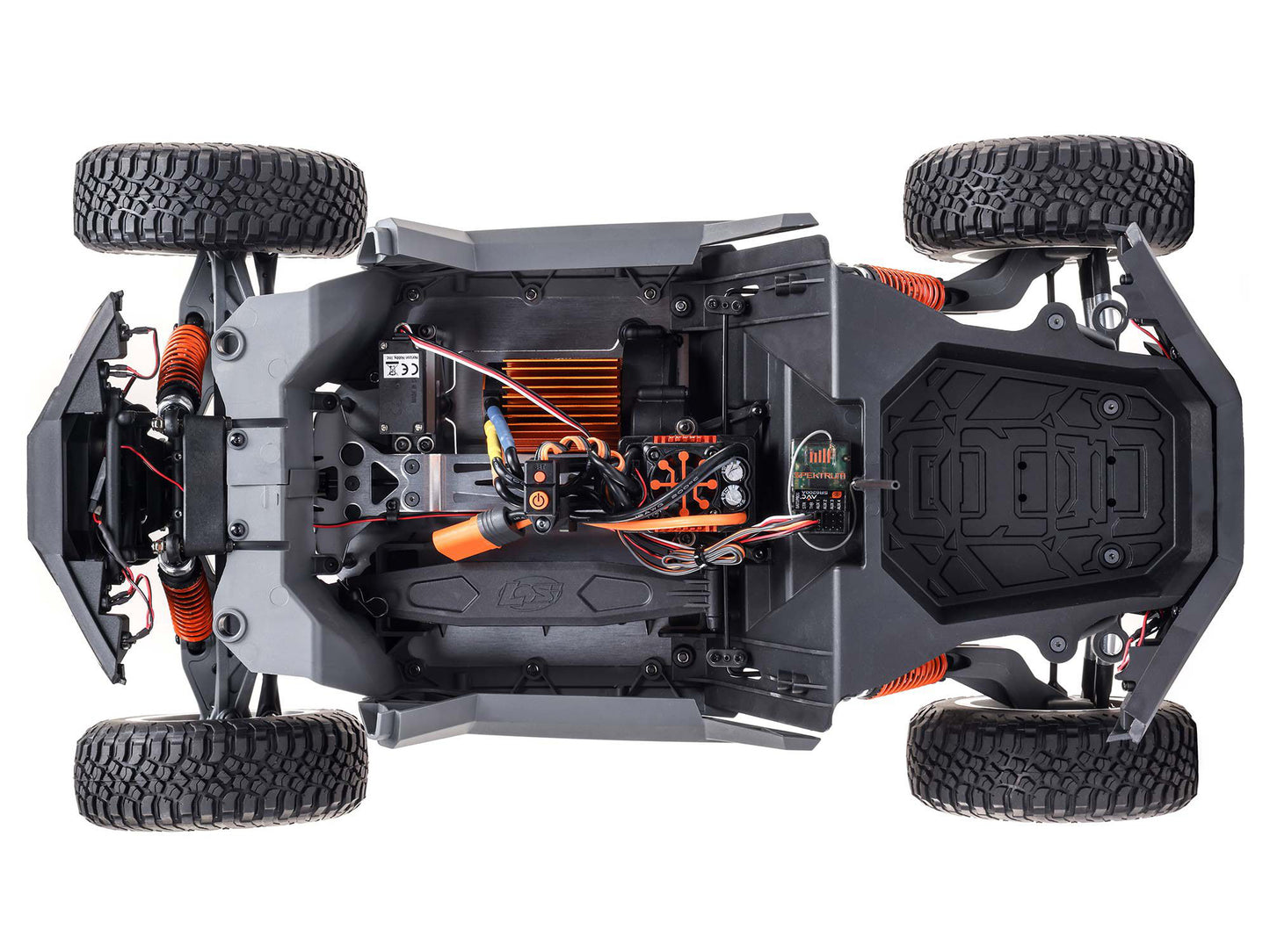 Losi 1/10 RZR Rey 4WD Brushless RTR
