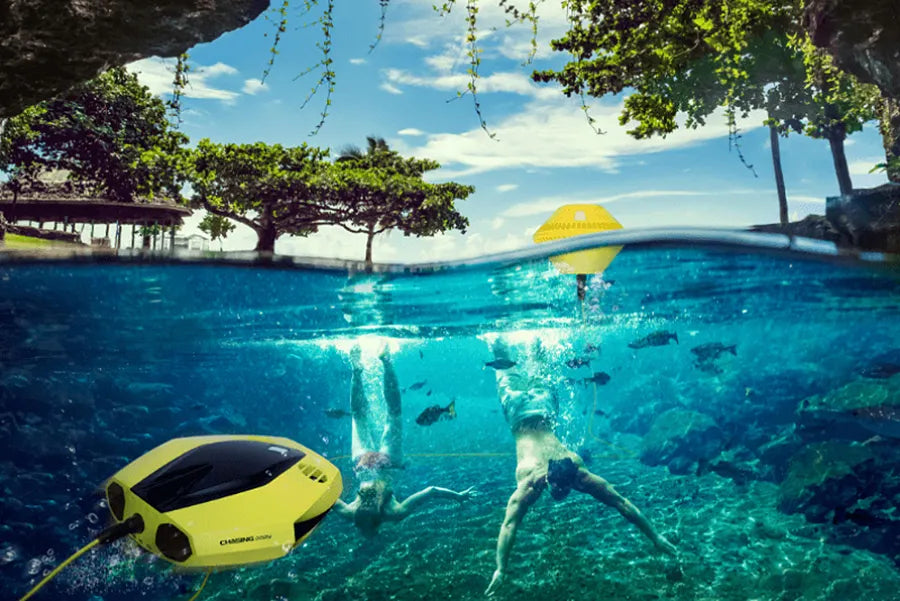 Chasing Dory Underwater Drone
