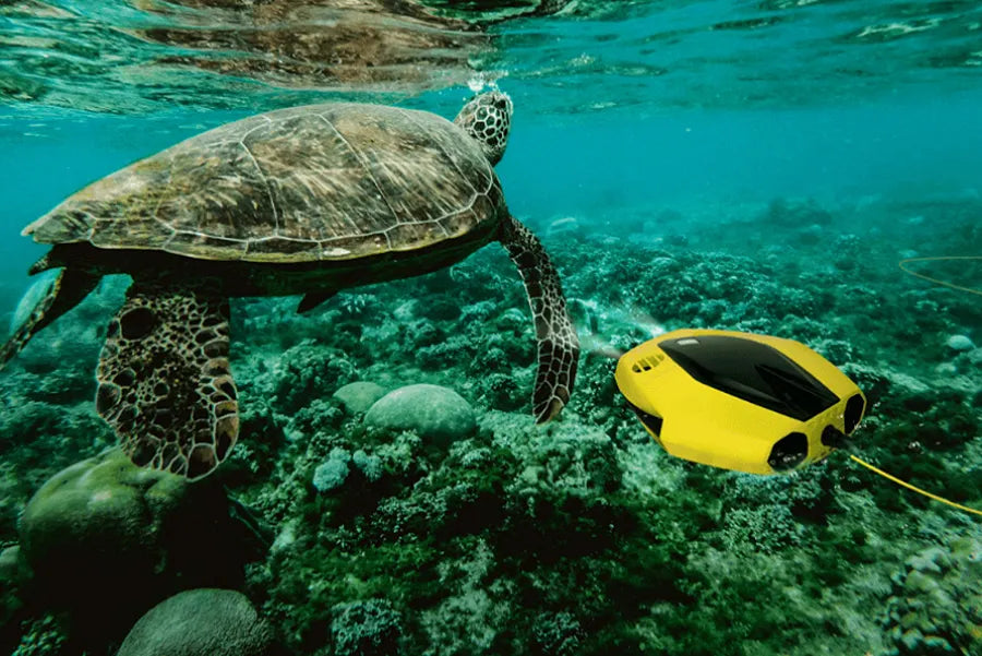 Chasing Dory Underwater Drone