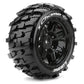 Louise RC X-Champ Black Mounted 24mm Hex